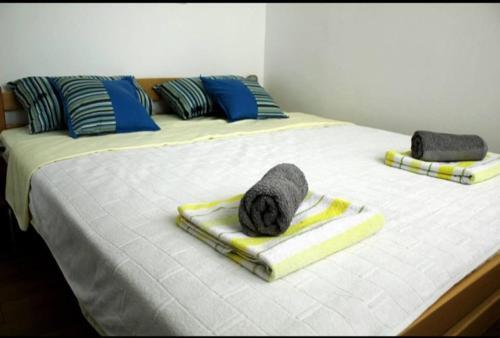 Apartamento Park15