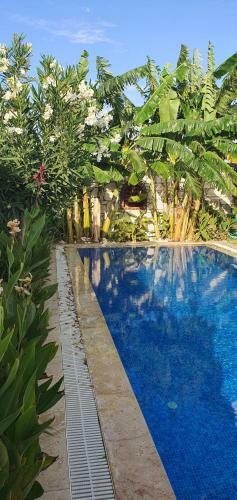 Villa Harnup