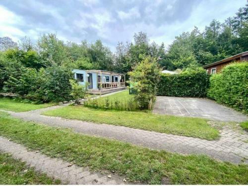 Sunhouse Bodhi