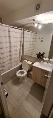 Apartamento Departamento Temporal Exponor