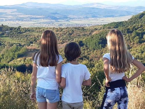 Cabana Casuta Din Vis