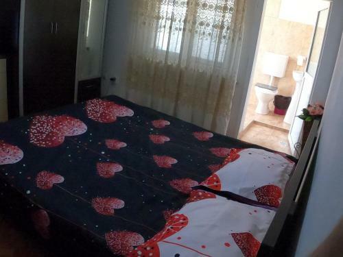 Hostal Pensiunea Casa Eliza Maria