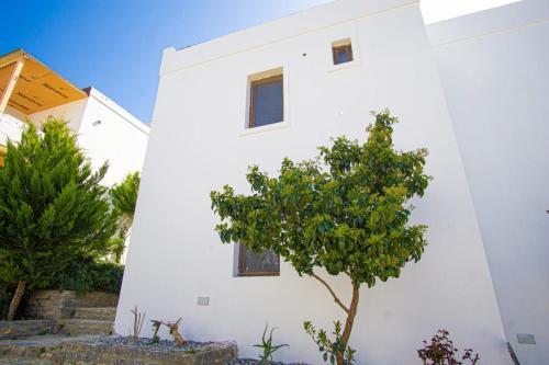 Apartamento Dolphin Residences Taflan 2