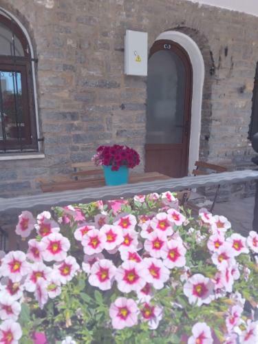 Apartamento Dolphin Residences Coleus 3