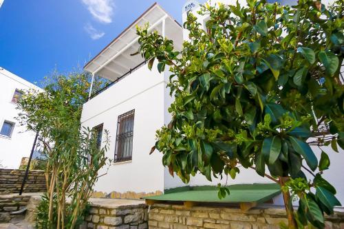 Apartamento Dolphin Residences - Begonya 2