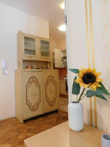 Etno Apartment Slovenska Street