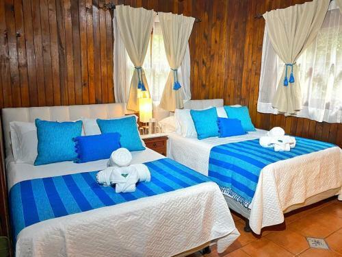 Luxury Villa / Free Parking / Garden