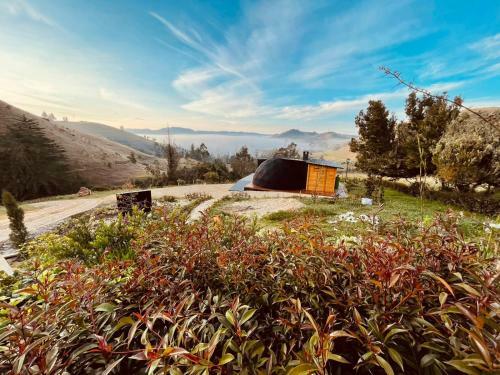 Bed & Breakfast Anuk Choconta