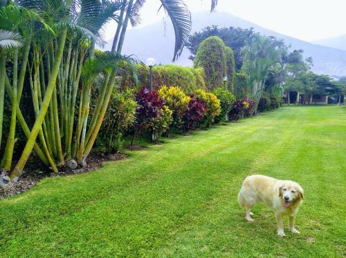 Villa Finca Ortiz