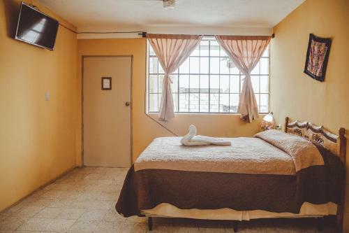 Hotel Shinula