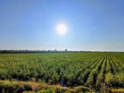 Villa Hop Encanto Exclusiva De Campo En Pisco