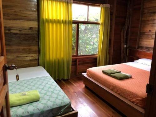 Casa Vacacional Misahualli - Coat� Sleep - The Jungle Villa