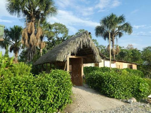 Casa Vacacional Misahualli - Coat� Sleep - The Jungle Villa
