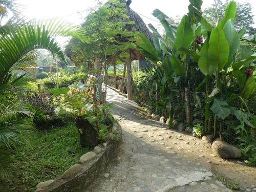 Casa Vacacional Misahualli - Coat� Sleep - The Jungle Villa