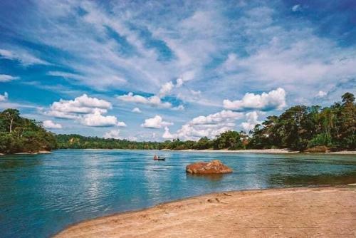 Casa Vacacional Misahualli - Coat� Sleep - The Jungle Villa