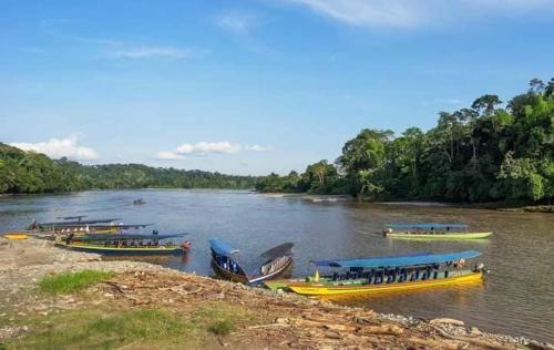 Casa Vacacional Misahualli - Coat� Sleep - The Jungle Villa