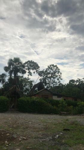 Casa Vacacional Misahualli - Coat� Sleep - The Jungle Villa