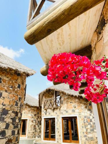 Hostal Fusion Guest House