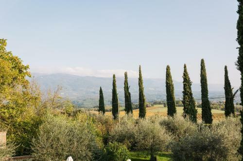 Alla Pagnana B&B