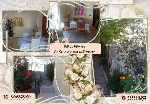 Bed & Breakfast Le Mimose