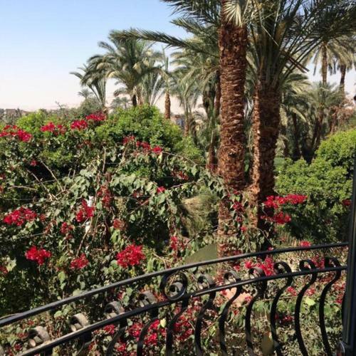 Apartamento Villa Tutmouss Luxor