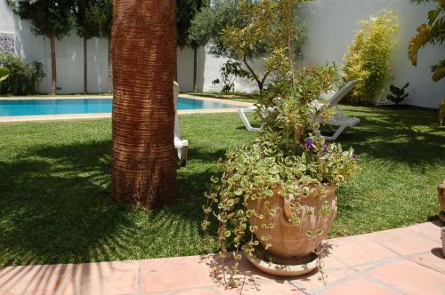 Bed & Breakfast Massimo E Tiziana