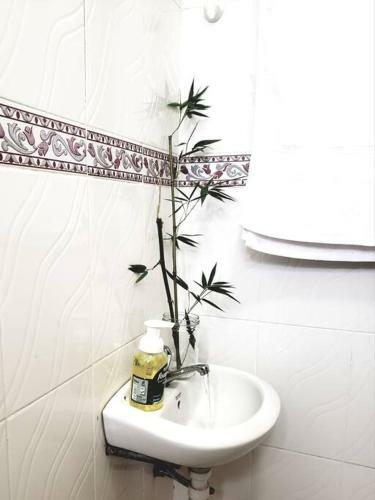 Kami Home-exquisite Studio Apartment Kamakis