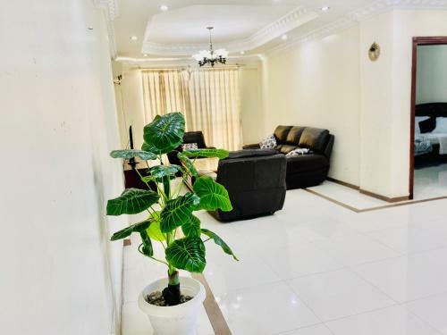 Apartamento Crown_apartment