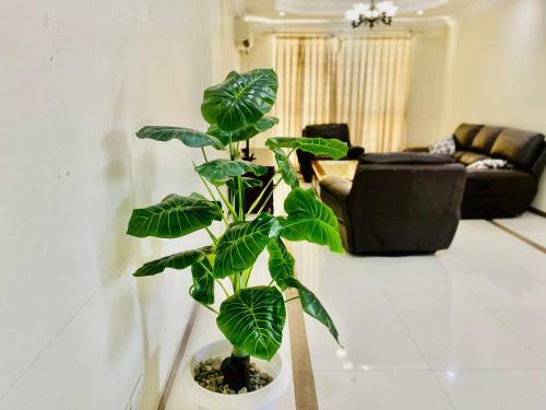 Apartamento Crown_apartment