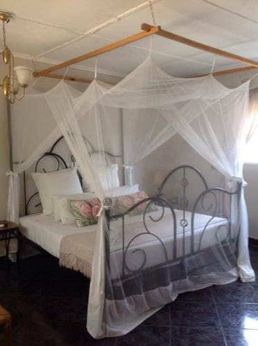Hostal Tribe Hut( Castle Lodge)