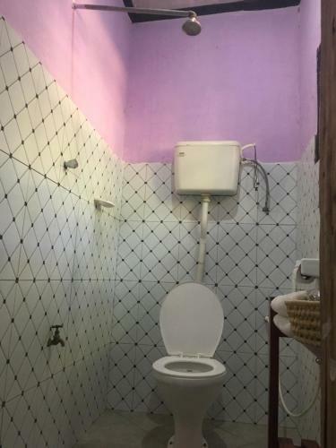 Ava Garden Backpackers