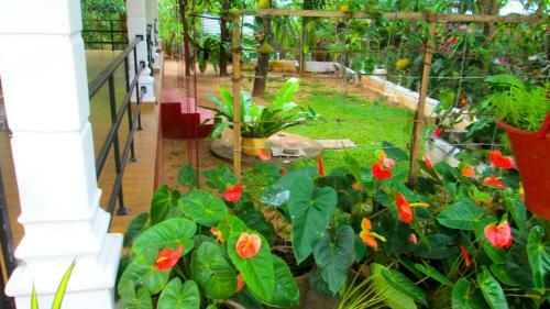 Bed & Breakfast Vihanga Resort