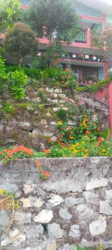 Peaches And Pears Homestay