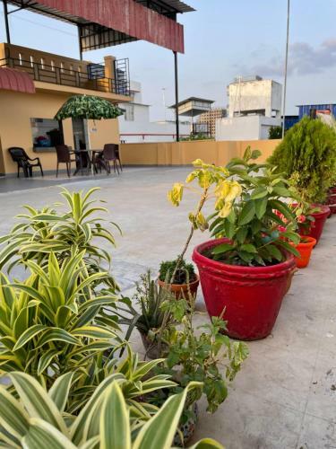 Satguru Homestays