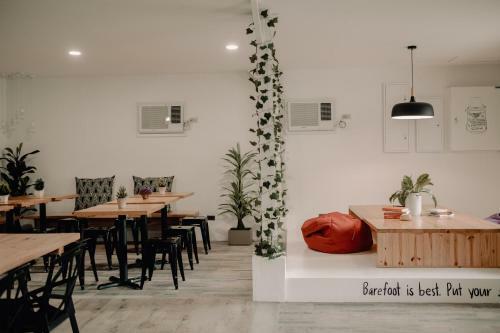 Murals Hostel And Cafe
