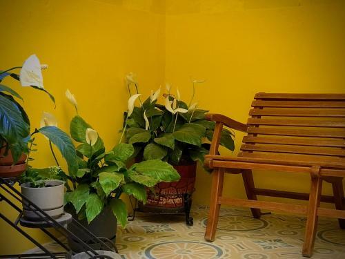 Hostal Casa Central, Hoster�a
