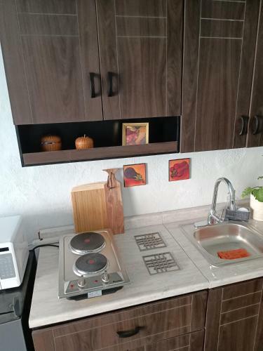 Comfortable Apartment With Hi Speed Wifi And Kitchenette D2