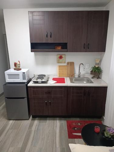 Comfortable Apartment With Wi-fi Kitchenette D1