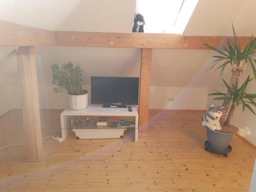 Apartamento Hotel, Ferienwohnung, Zimmer