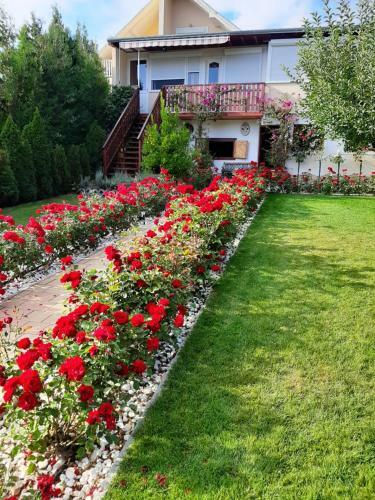 Bed & Breakfast R�zsakert Vend�gh�z
