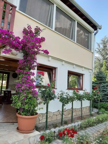 Bed & Breakfast R�zsakert Vend�gh�z