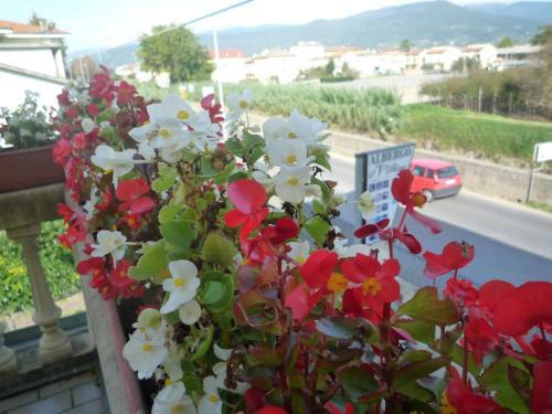 Hotel Albergo Il Villino