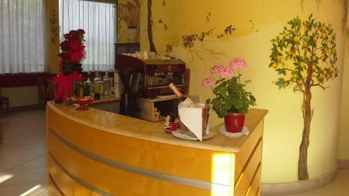 Park Hotel Oasi