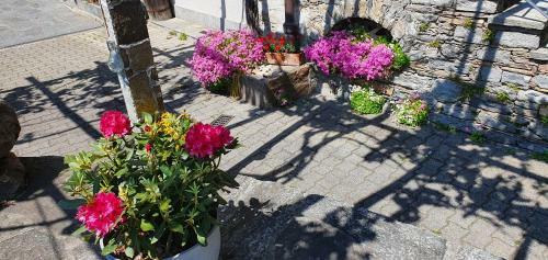 Apartamento Losone: Casa L�ssi