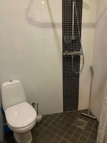 Apartamento Saunaga Korter Terviseparadiisi Vahetus L�heduses