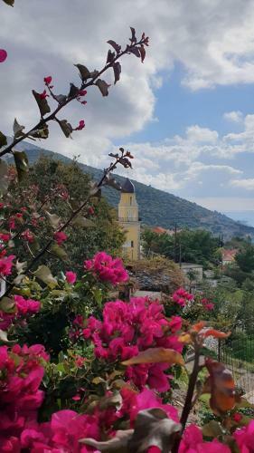 Villa Kokos