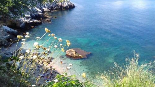 Bed & Breakfast Beb Citt� Delle Ville