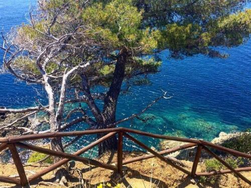 Apartamento Casa Mia Con Splendida Vista Mare