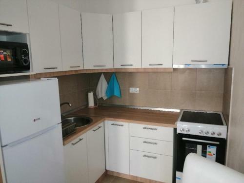 Aleksandar Apartmani