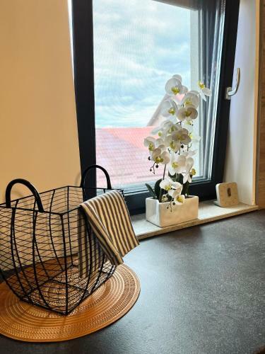 Welcome Cluj Apartments
